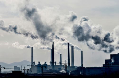 SBTi's revised net-zero standard proposes carbon removal for residual emissions